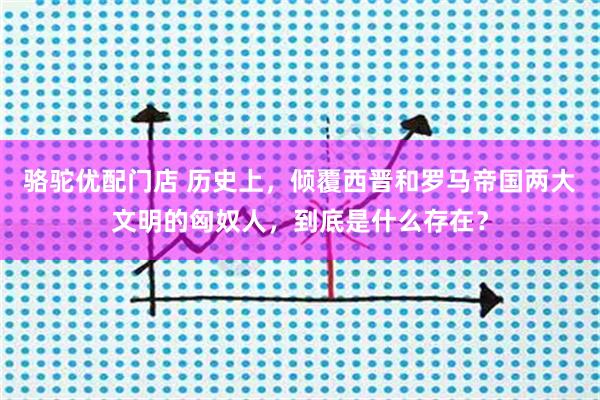 骆驼优配门店 历史上，倾覆西晋和罗马帝国两大文明的匈奴人，到底是什么存在？