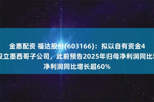 金惠配资 福达股份(603166)：拟以自有资金400万美元设立墨西哥子公司，此前预告2025年归母净利润同比增长超60%