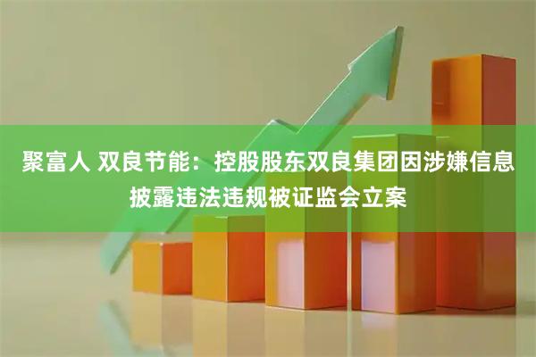 聚富人 双良节能：控股股东双良集团因涉嫌信息披露违法违规被证监会立案