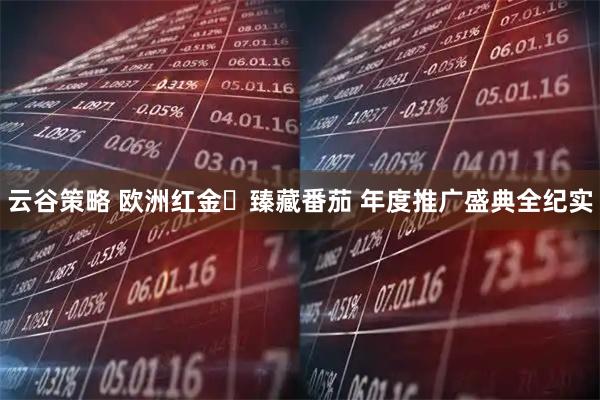 云谷策略 欧洲红金・臻藏番茄 年度推广盛典全纪实