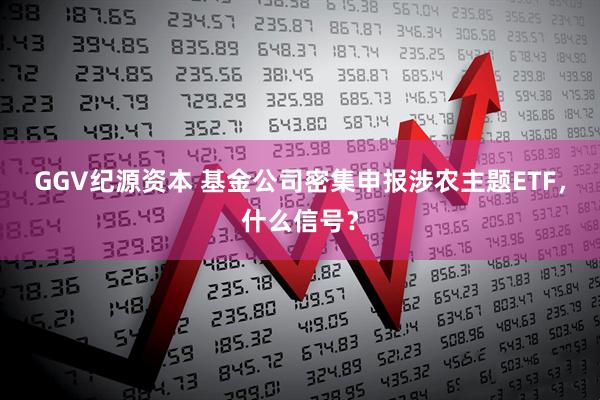 GGV纪源资本 基金公司密集申报涉农主题ETF,什么信号?