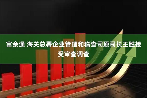 富余通 海关总署企业管理和稽查司原司长王胜接受审查调查