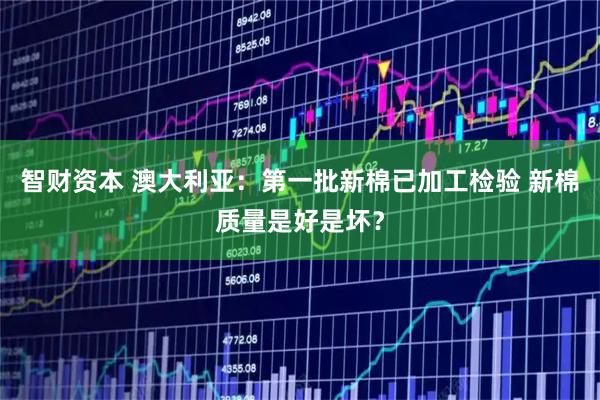 智财资本 澳大利亚：第一批新棉已加工检验 新棉质量是好是坏？