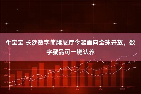 牛宝宝 长沙数字简牍展厅今起面向全球开放,数字藏品可一键认养