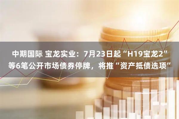 中期国际 宝龙实业:7月23日起“H19宝龙2”等6笔公开市场债券停牌,将推“资产抵债选项”