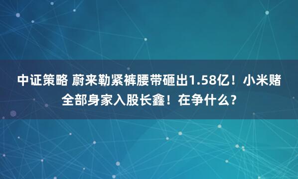 中证策略 蔚来勒紧裤腰带砸出1.58亿！小米赌全部身家入股长鑫！在争什么？