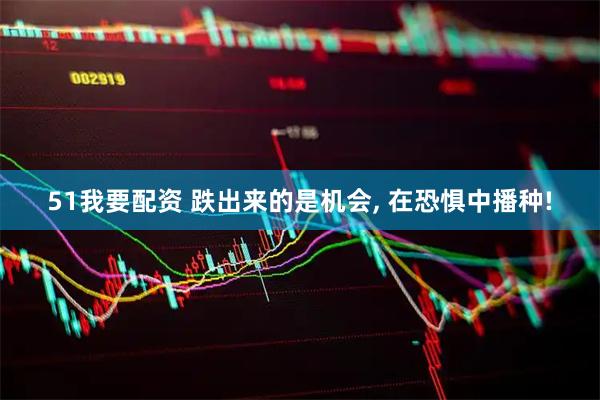 51我要配资 跌出来的是机会, 在恐惧中播种!