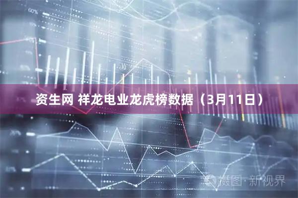 资生网 祥龙电业龙虎榜数据（3月11日）