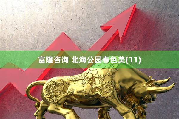 富隆咨询 北海公园春色美(11)