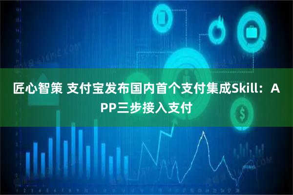 匠心智策 支付宝发布国内首个支付集成Skill：APP三步接入支付