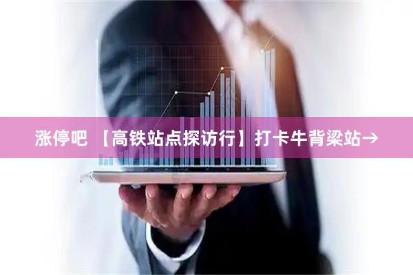 涨停吧 【高铁站点探访行】打卡牛背梁站→