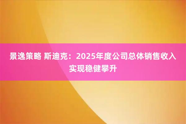 景逸策略 斯迪克：2025年度公司总体销售收入实现稳健攀升