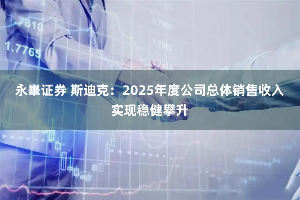 永崋证券 斯迪克：2025年度公司总体销售收入实现稳健攀升
