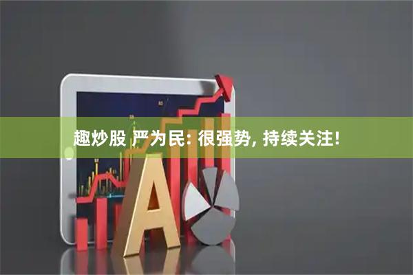 趣炒股 严为民: 很强势, 持续关注!