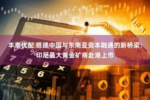 丰泰优配 搭建中国与东南亚资本融通的新桥梁：印尼最大黄金矿商赴港上市