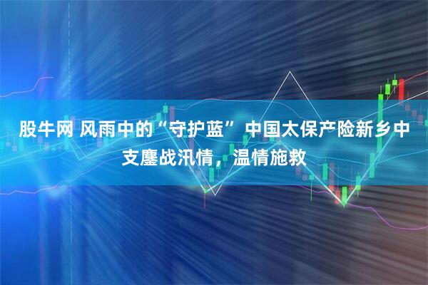 股牛网 风雨中的“守护蓝” 中国太保产险新乡中支鏖战汛情，温情施救